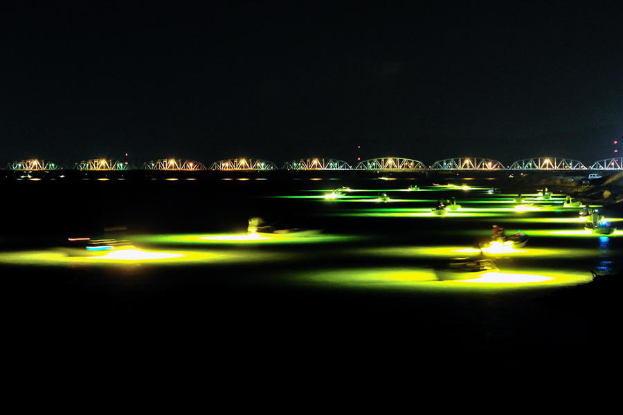 吉野川のシラスウナギ漁