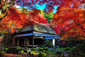 近江八幡市 教林坊