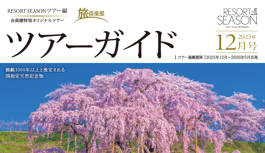 ツアーガイド12月号発行のお知らせ
